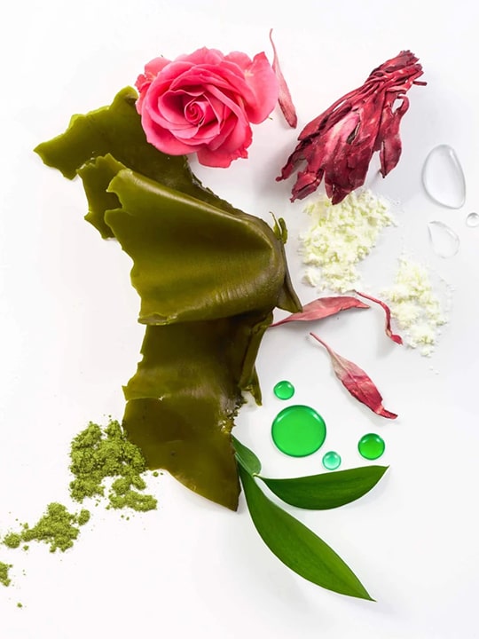 Shield Conditioner - Image 3